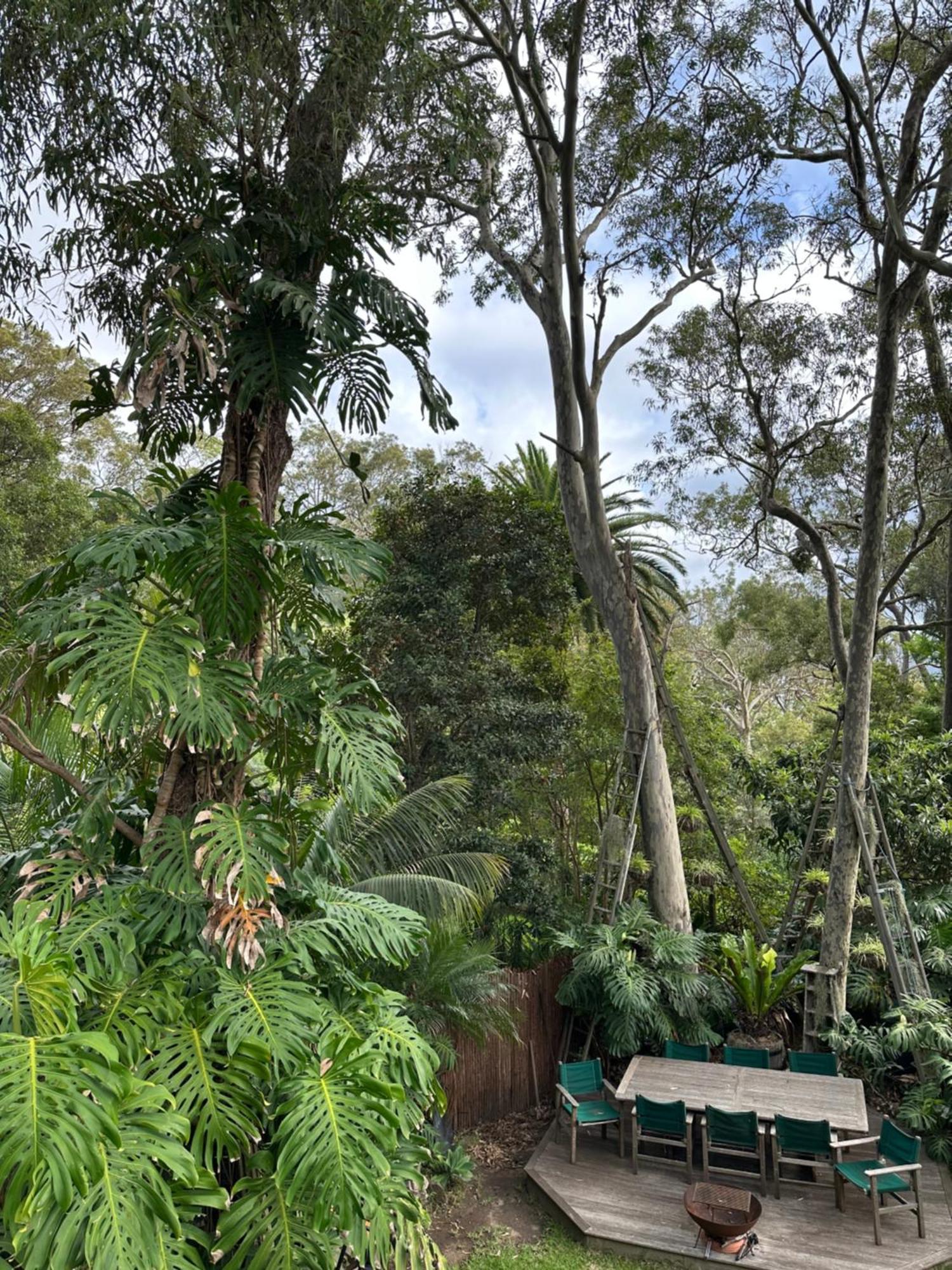 Palm Beach Bed & Breakfast 외부 사진